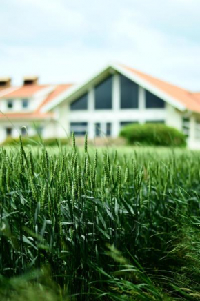 Katrinebergs Folkhögskola B&B Vessigebro